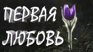 Первая любовь