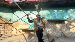 Люська делает с Владом что хочет, Степа с Денисом, а у меня утром ПОСТРОЕНИЕ-вечером ОТБОЙ)))