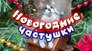 НОВОГОДНЕЕ  НАСТРОЕНИЕ . Новогодние частушки!