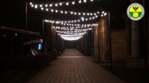 В Мелитополе торжественно зажгли огни на главной городской ёлке