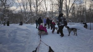 ТЕПЛО РОДНОГО КРАЯ