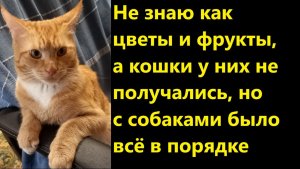 Не знаю как цветы и фрукты, а кошки у них не получались, но с собаками было всё в порядке