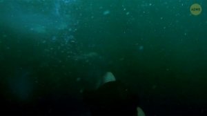 Темная правда о том, как было создано озеро Ланиер в США