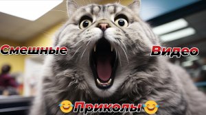 СМЕШНЫЕ ВИДЕО ПРИКОЛЫ|КОТЫ И СОБАКИ|ЮМОР И ПРИКОЛЫ.