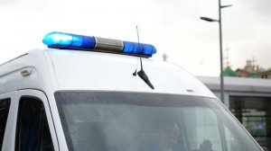 Шок для семьи: психологи рассказали, когда дети перестают верить в Деда Мороза