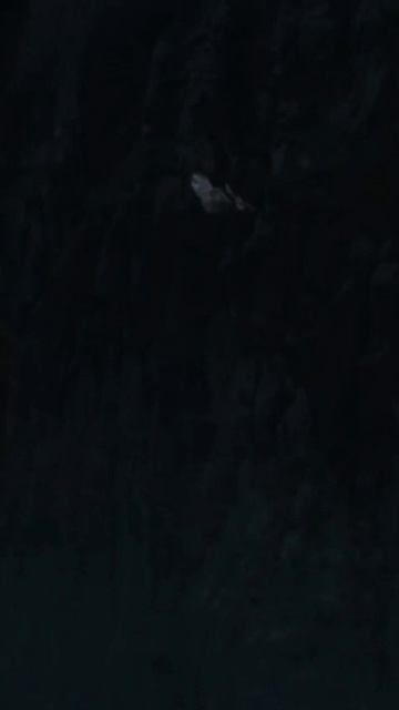 Черный человек / 3