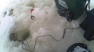 Я офигел от того сколько здесь рыбы, но ни одной поклевки.Рыбалка на реке Чумыш.