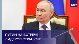Путин на встрече лидеров стран СНГ