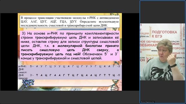 Раздел "Молекулярная биология": трудные задания ЕГЭ по биологии 2026 года смотреть онлайн