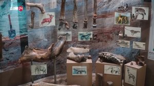 Точка на карте 21.12.2025 - Азов