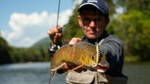 Ловля ленка на Дальнем Востоке. Река Красивая. Часть 3. Рыболовные путешествия команды SMITH Russia.