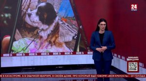 Мнение 24. Забытые сердца, вопрос приоритетов и тест на человечность