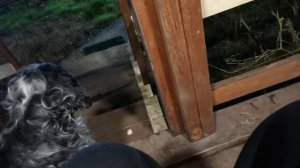 СОЧИ ГОРНОЕ ЛОО УТРО 22.12.2025