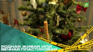 Родная живая или вечная пластиковая. Какую елку выбрать к Новому Году?