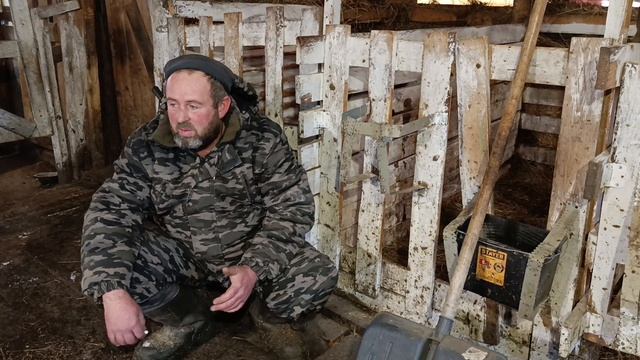 Первая потеря на хозяйствеМинус один телёнок