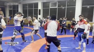 Воспитанники Бадави Гасанова триумфально выступили на  чемпионате  и ПМ по спортивному миксфайту