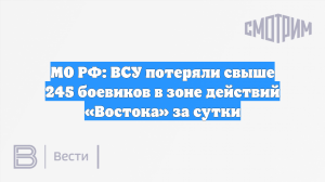 МО РФ: ВСУ потеряли свыше 245 боевиков в зоне действий «Востока» за сутки