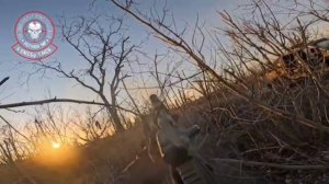 На уверенном шагаем вперед к победе)💪