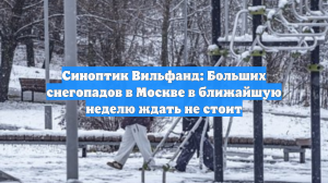 Синоптик Вильфанд: Больших снегопадов в Москве в ближайшую неделю ждать не стоит