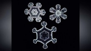 УТРО ИНГУШЕТИИ  231225