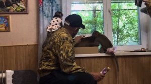 Мне пришлось ОТРУГАТЬ Маню, она все поняла и попросилась домой к своим!