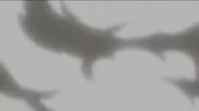 Гормити Трейлер смотреть онлайн