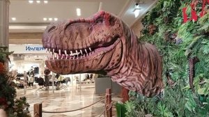 ЦДМ. Москва