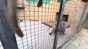 ДОЖДАЛИСЬ! Мы снова ведем нашу Люсю к жениху Елисею, и снова ШОУ с ИСТЕРИКОЙ!!!