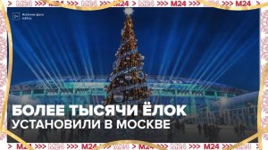Более тысячи новогодних елок установили в Москве - Москва 24