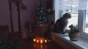 Глаза завидущие, руки загребущие😄