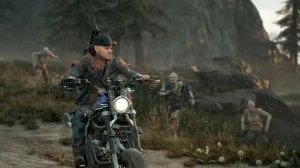 Days Gone #11
