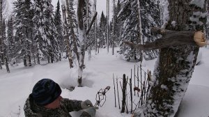 Первый путик. Выставка капканов.