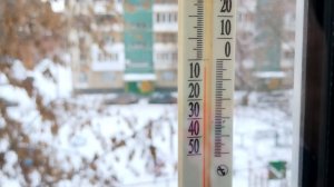 Погода непредсказуема. 22 декабря -3°