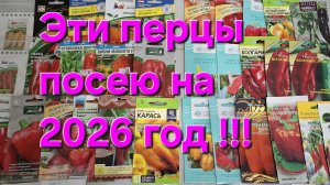 Эти перцы 100% посажу в 2026 году!!! Ленобласть!!!