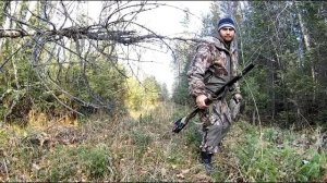 Возвращение в лес.  Непуганый рябчик.  Охота на рябчика в тайге.