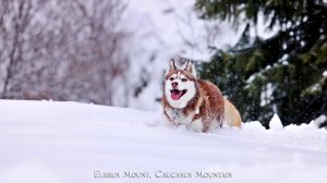 Adam - Мой Дом (EuroMeloMan Video Edit)