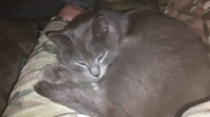 Утро доброе Друзья