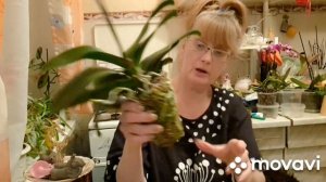 1000015601.mp4 🚀🖋️ ВЕЧЕР СО МНОЙ 💃🔥МОИ БУДНИ 🖋️🚀