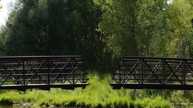 Семафоры динь-динь