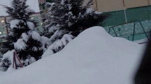 Пошла в магазин | Мандариновый рай●●●