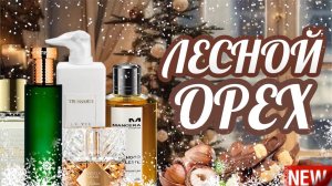 АРОМАТЫ С НОТОЙ ЛЕСНОГО ОРЕХА | СОГРЕВАЮЩИЙ ПАРФЮМ НА ЗИМУ
