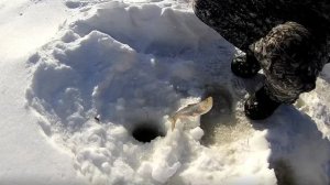 Рыбалка на таежной речке Кайлушка