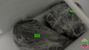 Полиция Запорожья с поличным задержала браконьера за вылов особо ценных видов осетровых рыб