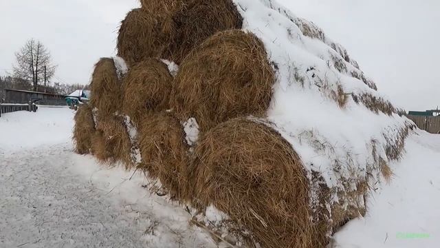 Обзор способа складирования рулонов сена на поддоны при помощи погрузчика ХАРВЕСТ 1000 PLUS