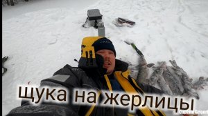 зимняя рыбалка на жерлицы