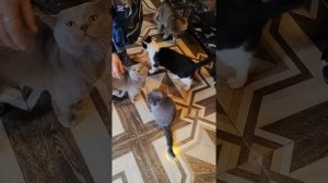 Света с дочкой приехали проведать Нюшу с подарками