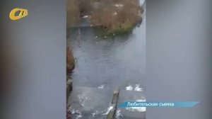 ЖЕЛЕЗНОГОРЦЕВ ПРИЗЫВАЮТ ПОДКАРМЛИВАТЬ УТОК НА ГОРОДСКОМ ВОДОХРАНИЛИЩЕ