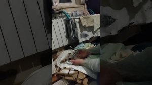 Как я кормлю Снежка