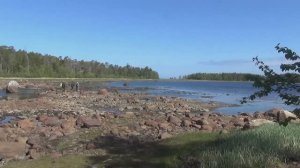 Пенсионеры на отдыхе. Белое море