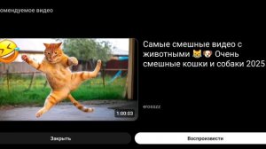 Смешные животные😁😁😁